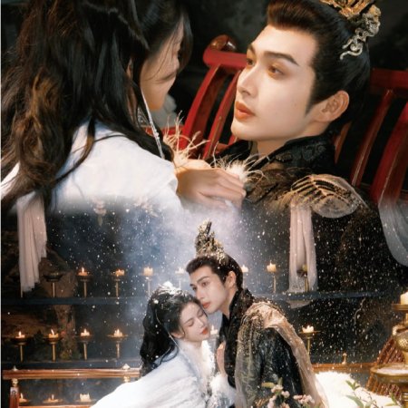 The Blossoming Love (2025)