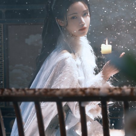 The Blossoming Love (2025)