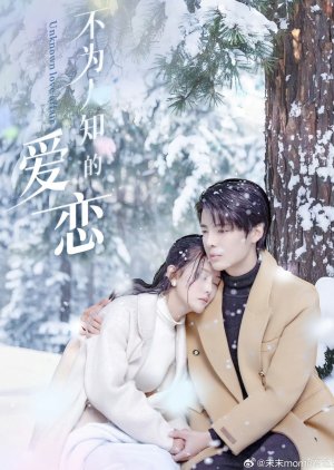Unknown Love Affair (2025) poster