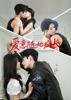 Ai Yi Sui Ta Feng Zhang (2025) poster