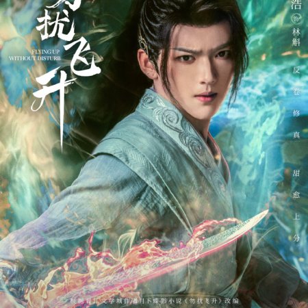 Flying up without Disturb (2025)