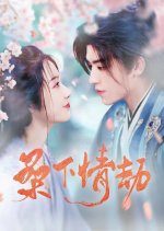 Sang Xia Qing Jie Chinese Drama(2025) photo