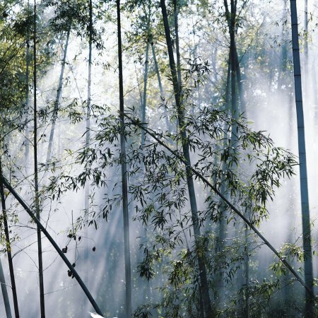 Sword and Beloved (2025)