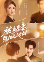 Bei Po Qu Qi, Qiang Niu De Gua Ye Tian Chinese Drama(2025) photo