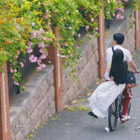 The Genius of Girlfriend (2026)