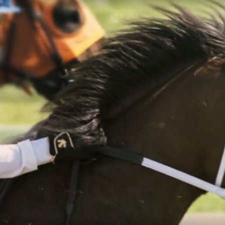 Passing the Reins (2025)