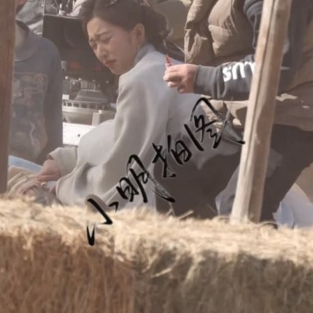 The Road to Splendor ()