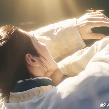 Liang Jing Shi Wu Ri ()