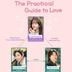The Practical Guide to Love Korean Drama photo