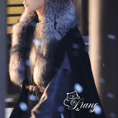 The Palace Stewardess ()