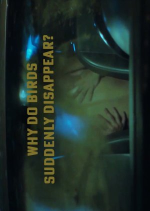 Why Do Birds Suddenly Disappear? (2019) poster