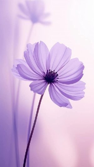 sammie_