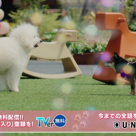Love Is for the Dogs (2025)