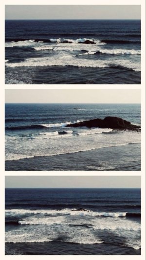 Paupau
