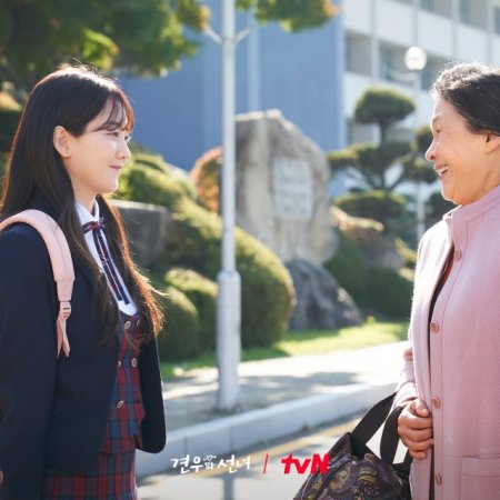 Head over Heels (2025)