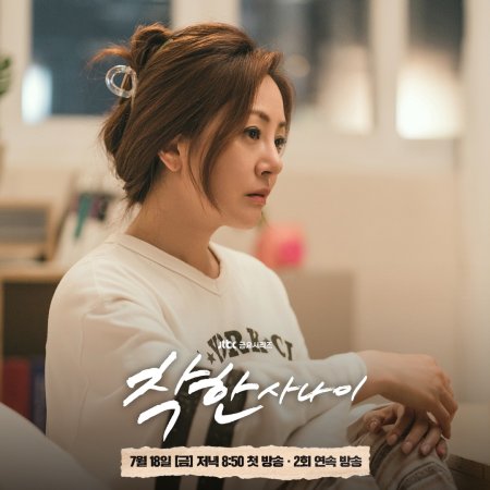 The Nice Guy (2025)