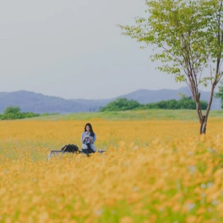 My Lovely Journey (2025)