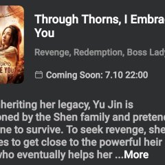 Through Thorns to Embrace You Chinese Drama photo