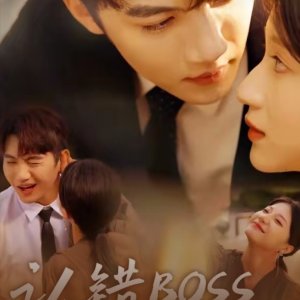 Marrying a Handsome Boss (2025)
