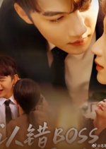 Marrying a Handsome Boss Chinese Drama(2025) photo