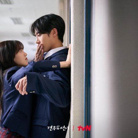 Head over Heels (2025)