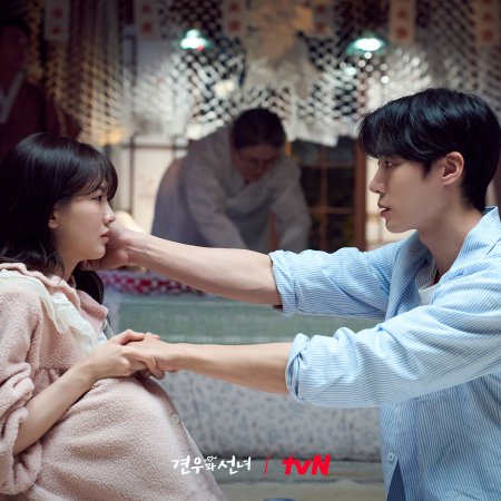 Head over Heels (2025)