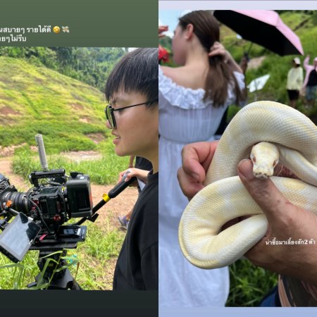 Revamp the Undead Story (2025)