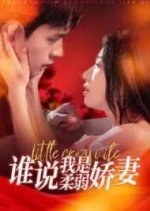 Little Crazy Wife Chinese Drama photo