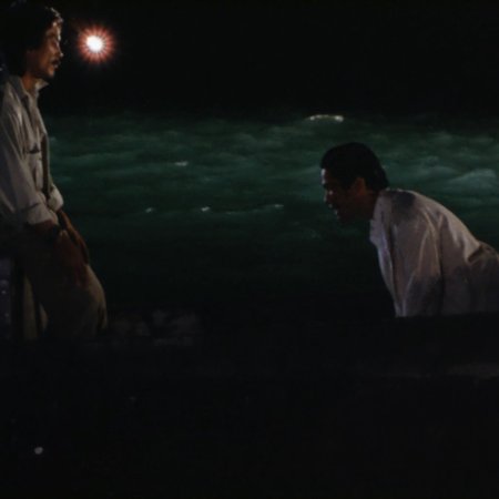 South to the Horizon (1986)