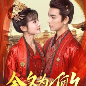 Jin Xi Wei He Xi (2025)