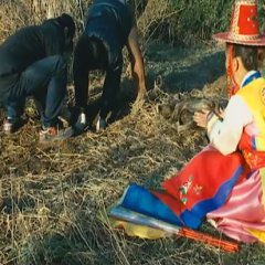 Land of Scarecrows Korean Movie photo