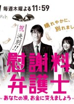 Divorce Chaser Japanese Drama photo