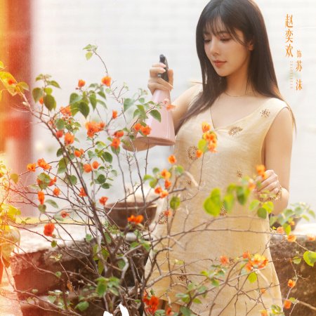 Falling for You (2026)