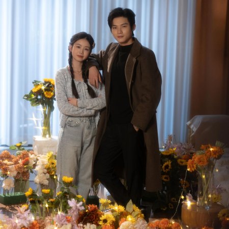 Love at a Glance (2025)