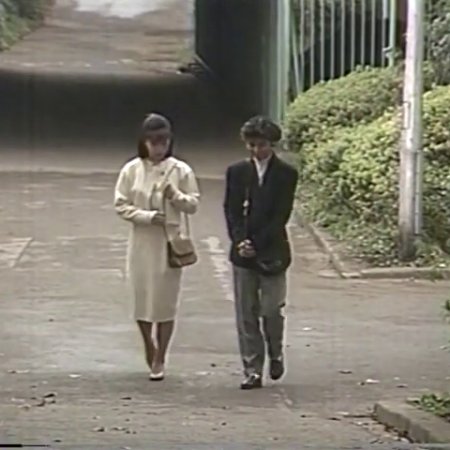 Yume ni Mita Hibi (1989)
