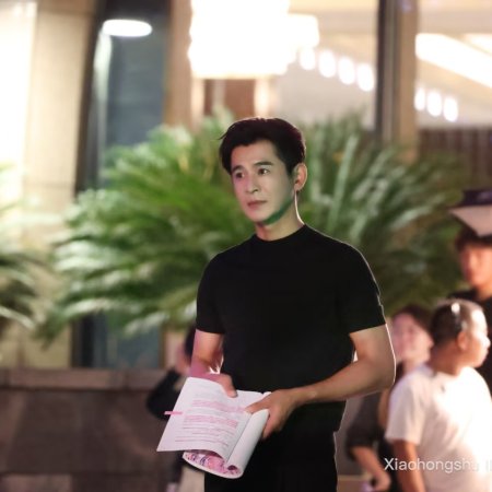 The Vanishing Beauty ()