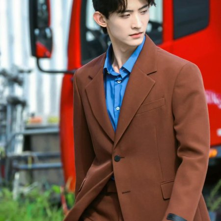 The Vanishing Beauty ()