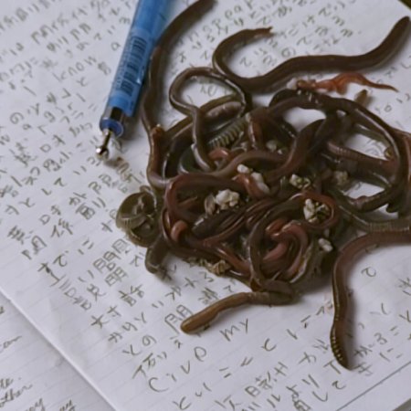 Bourei Gakkyu (1996)