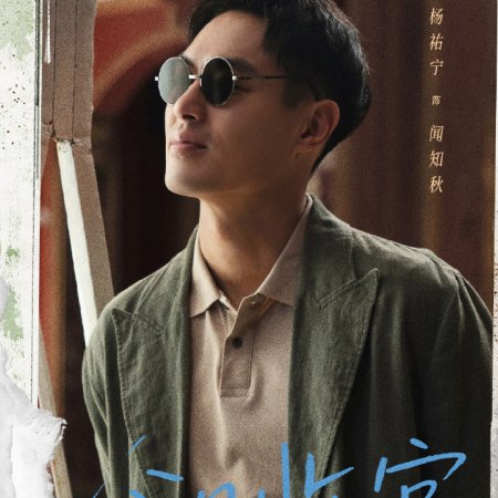 Wild Ambition Bloom (2025)