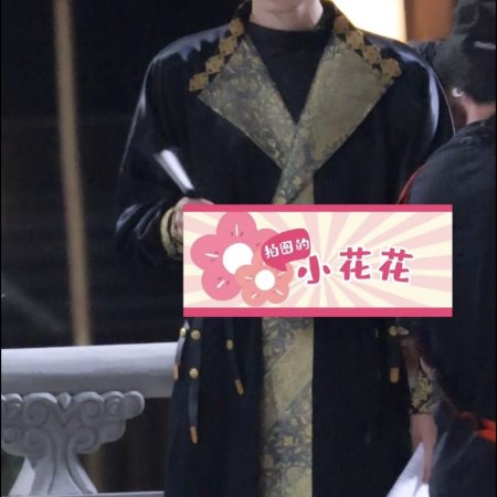 Jiang Shan Wei Pin ()