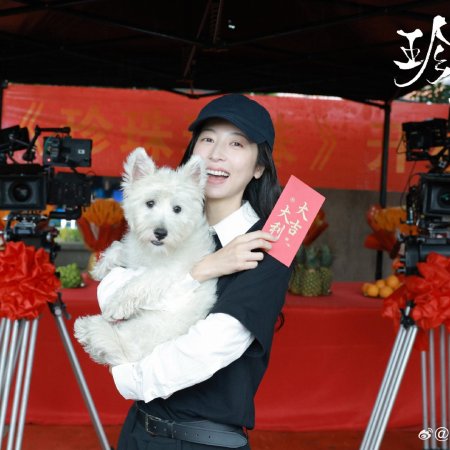 Zhen Zhu Zhen Zhu ()