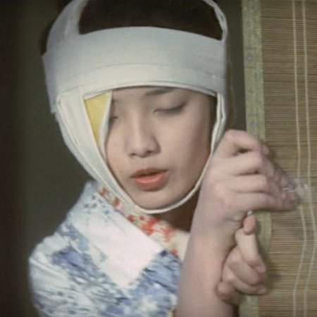 A Portrait of Shunkin (1976)