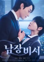 Secretary Undercover Korean Drama(2025) photo