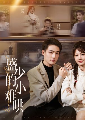 Sheng Shao De Xiao Nan Hong poster