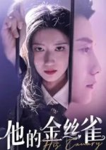 His Canary Chinese Drama(2024) photo