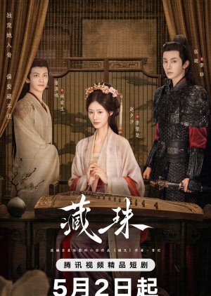 Hidden Love (2025) poster