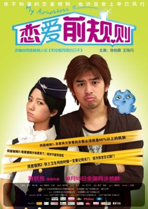 My Airhostess Roommate (2009) poster