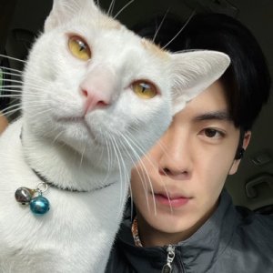 Binbinmeow