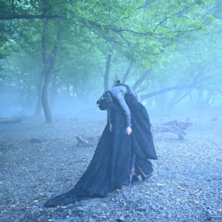 Veil of Shadows ()