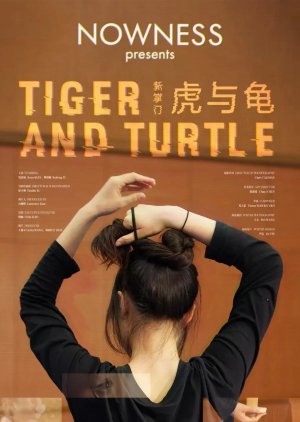 Tiger and Turtle (2024) poster